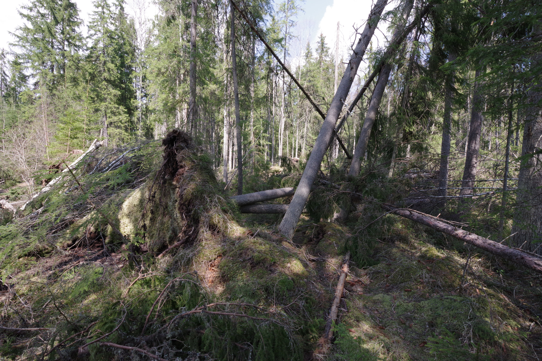 HD PENTAX-D FA 15-30mm F2.8 ED SDM WR sample photo. Angry mother nature 02 photography