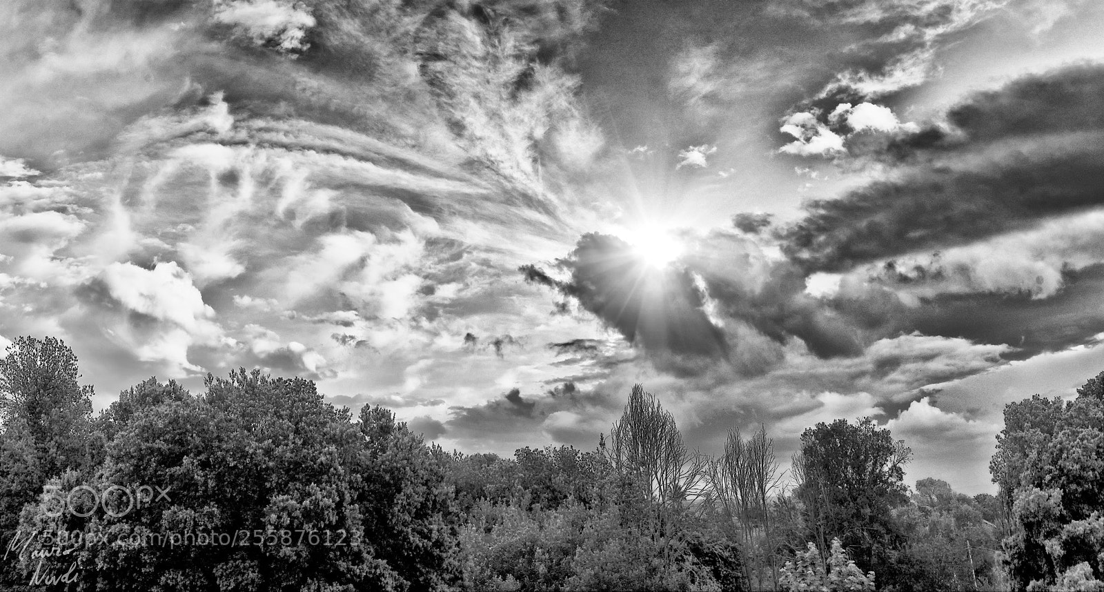 Nikon D3100 sample photo. Carbonazzi photography