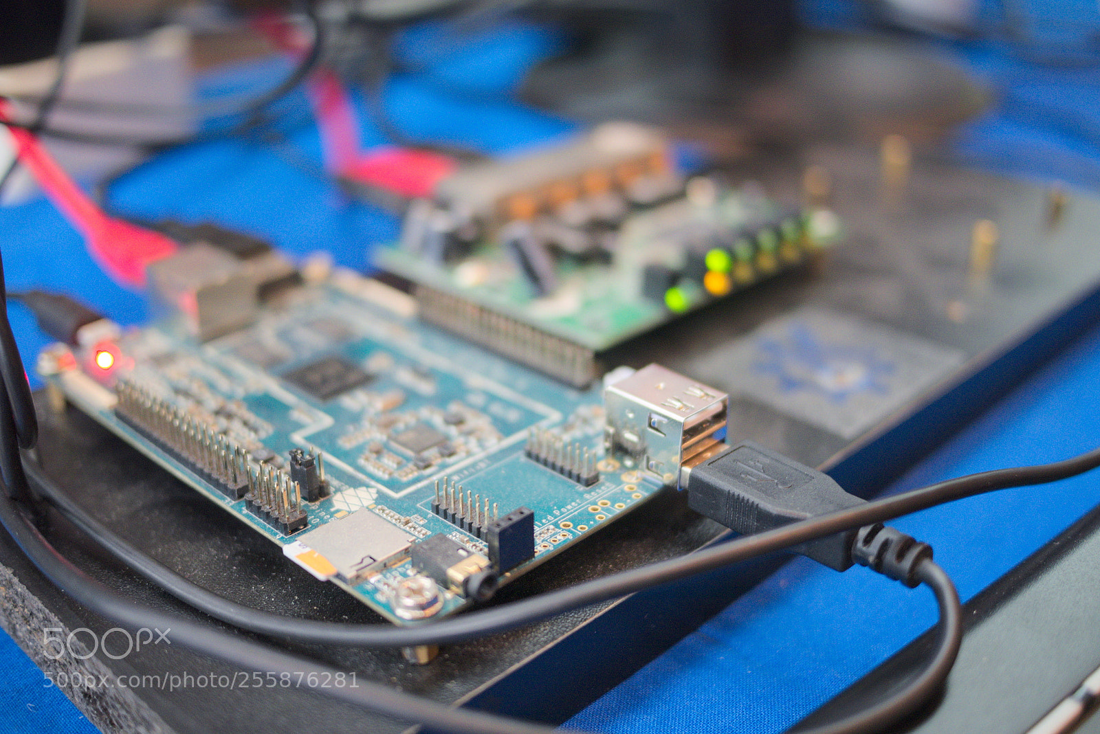 Panasonic Lumix DMC-G6 sample photo. Arm boards at north 2018 photography