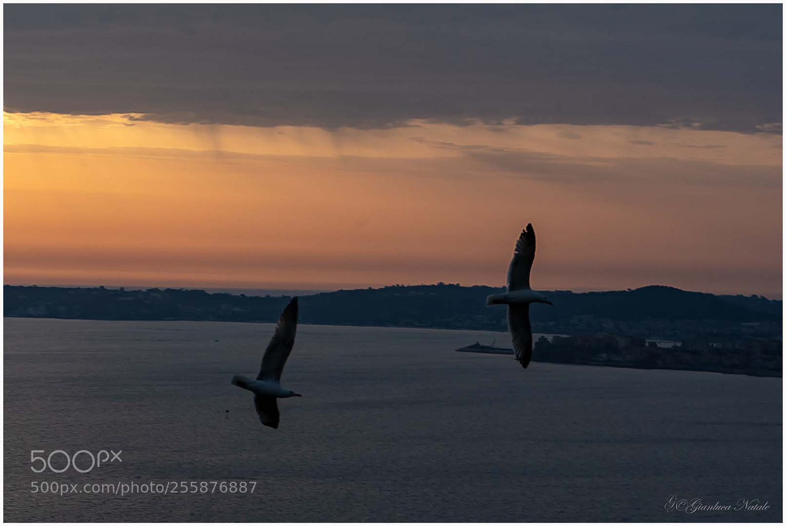 Nikon D7100 sample photo. Wonderful view of nisida photography