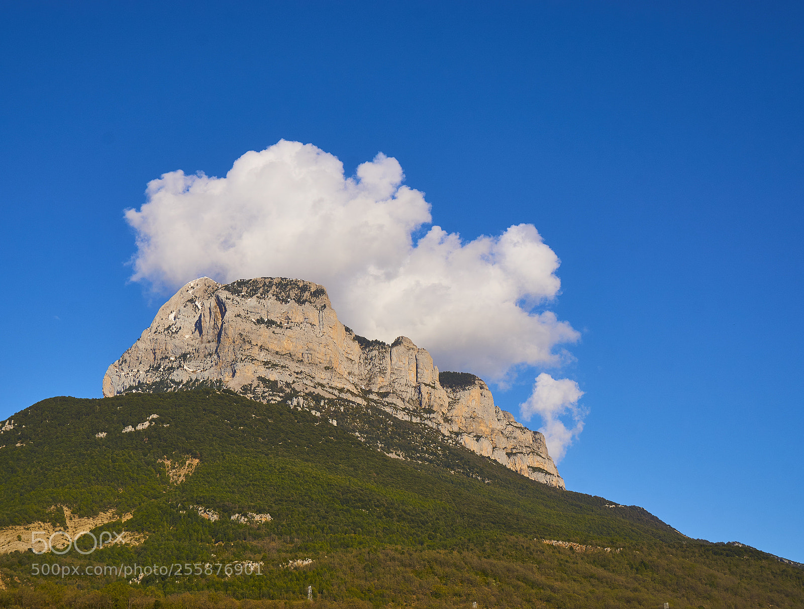 Sony a6000 sample photo. Resting cloud photography