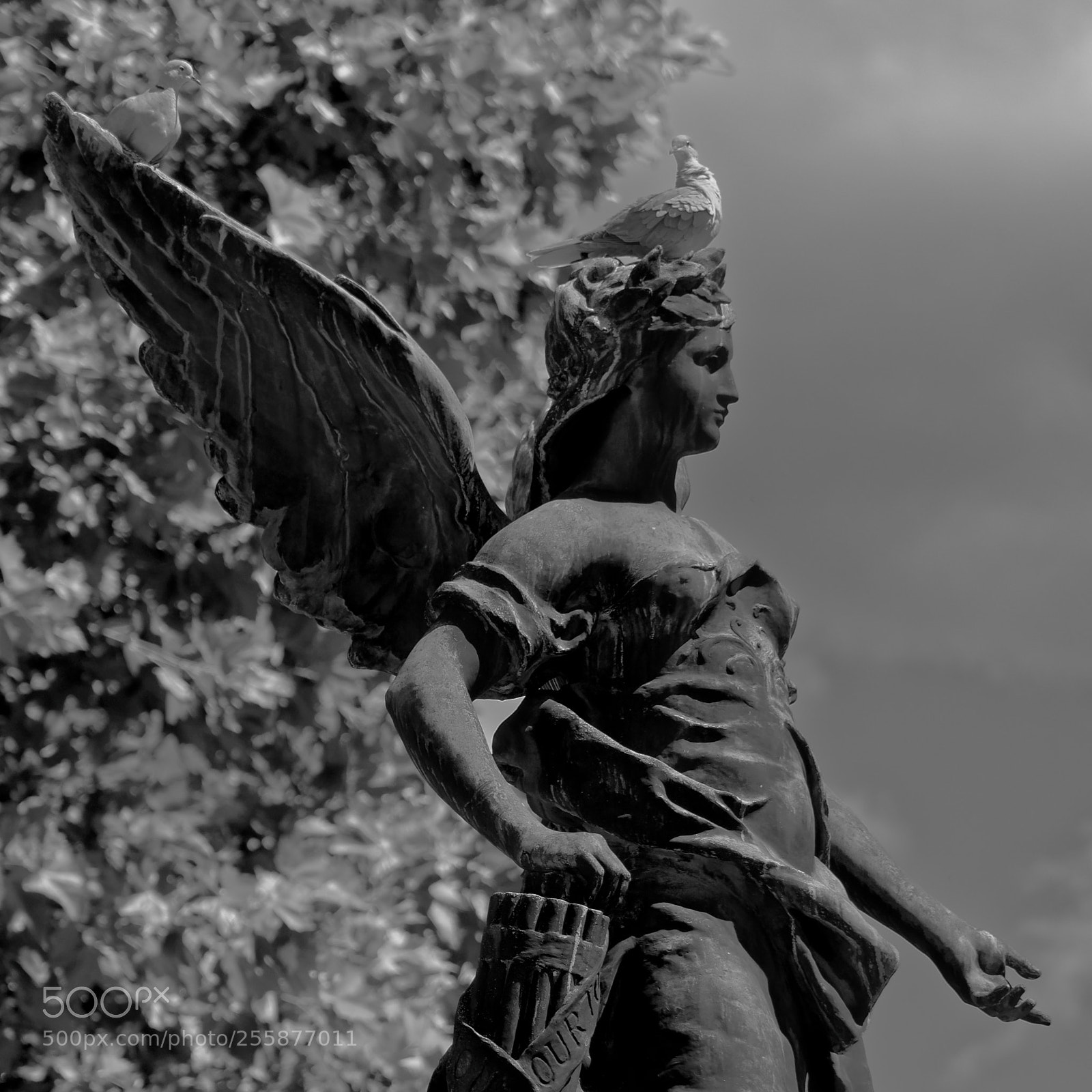 Sony Alpha NEX-5N sample photo. Guano forever photography