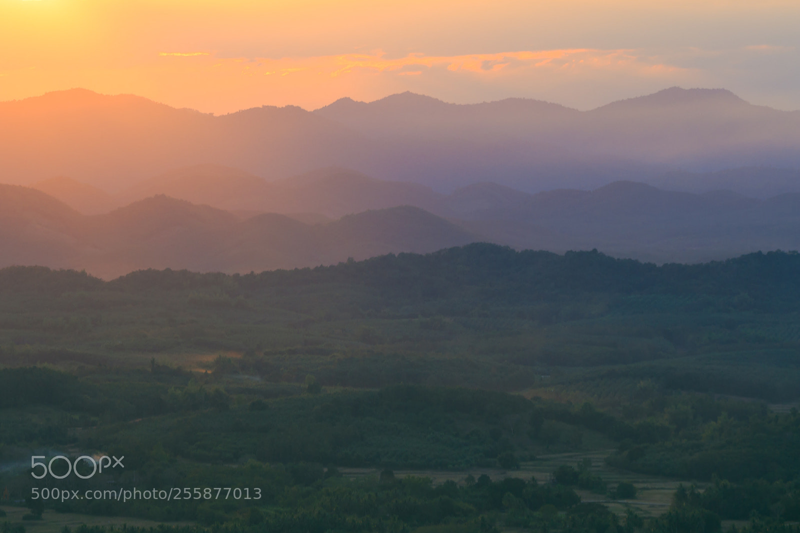 Canon EOS 6D sample photo. Banjong seal photography