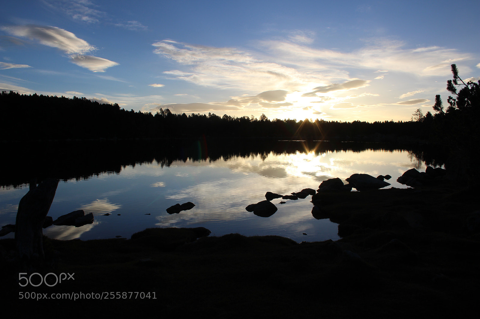Canon EOS 650D (EOS Rebel T4i / EOS Kiss X6i) sample photo. Meranges photography