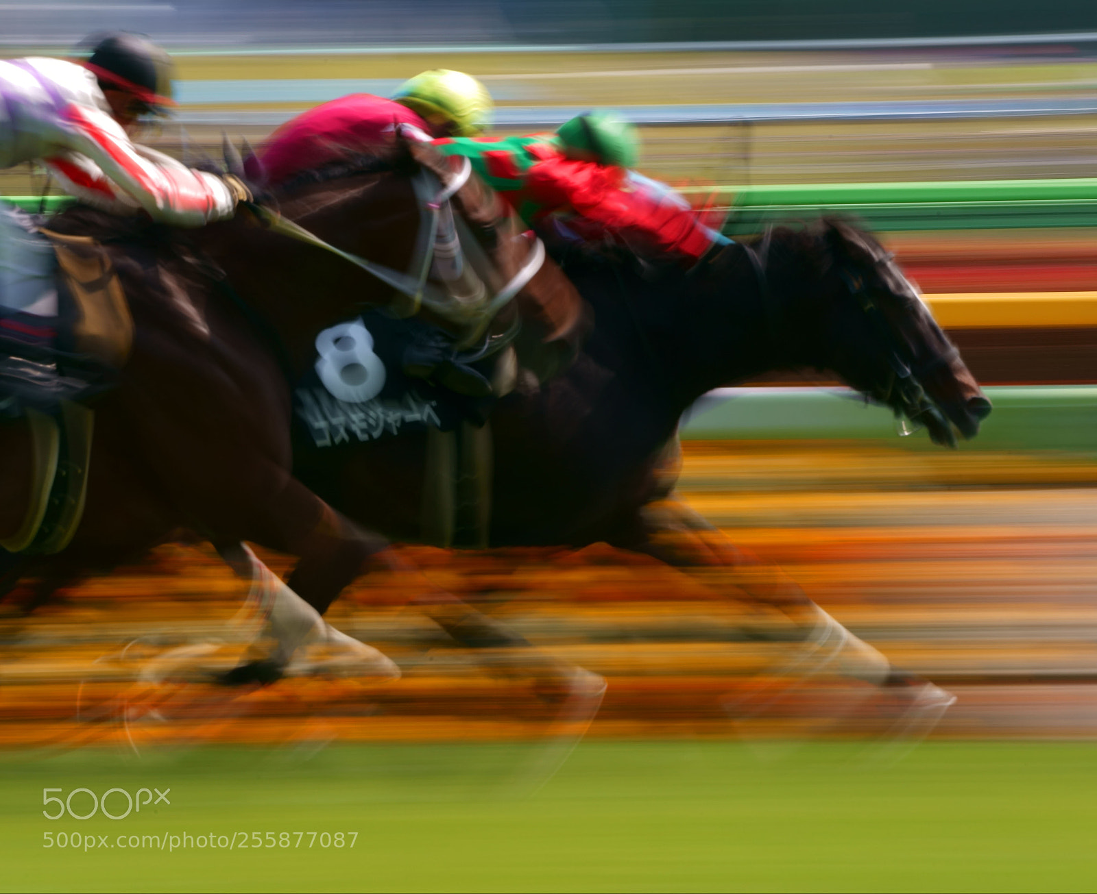 Sony a9 sample photo. Horse race photography