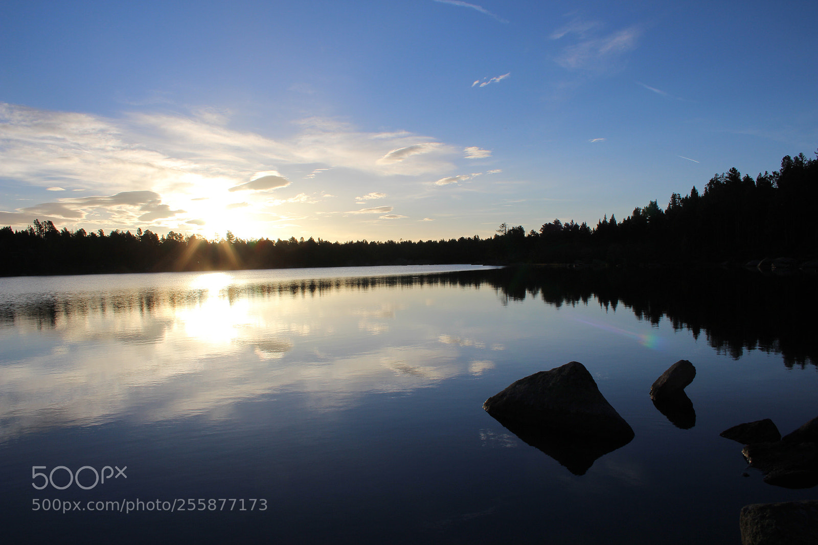 Canon EOS 650D (EOS Rebel T4i / EOS Kiss X6i) sample photo. Meranges photography