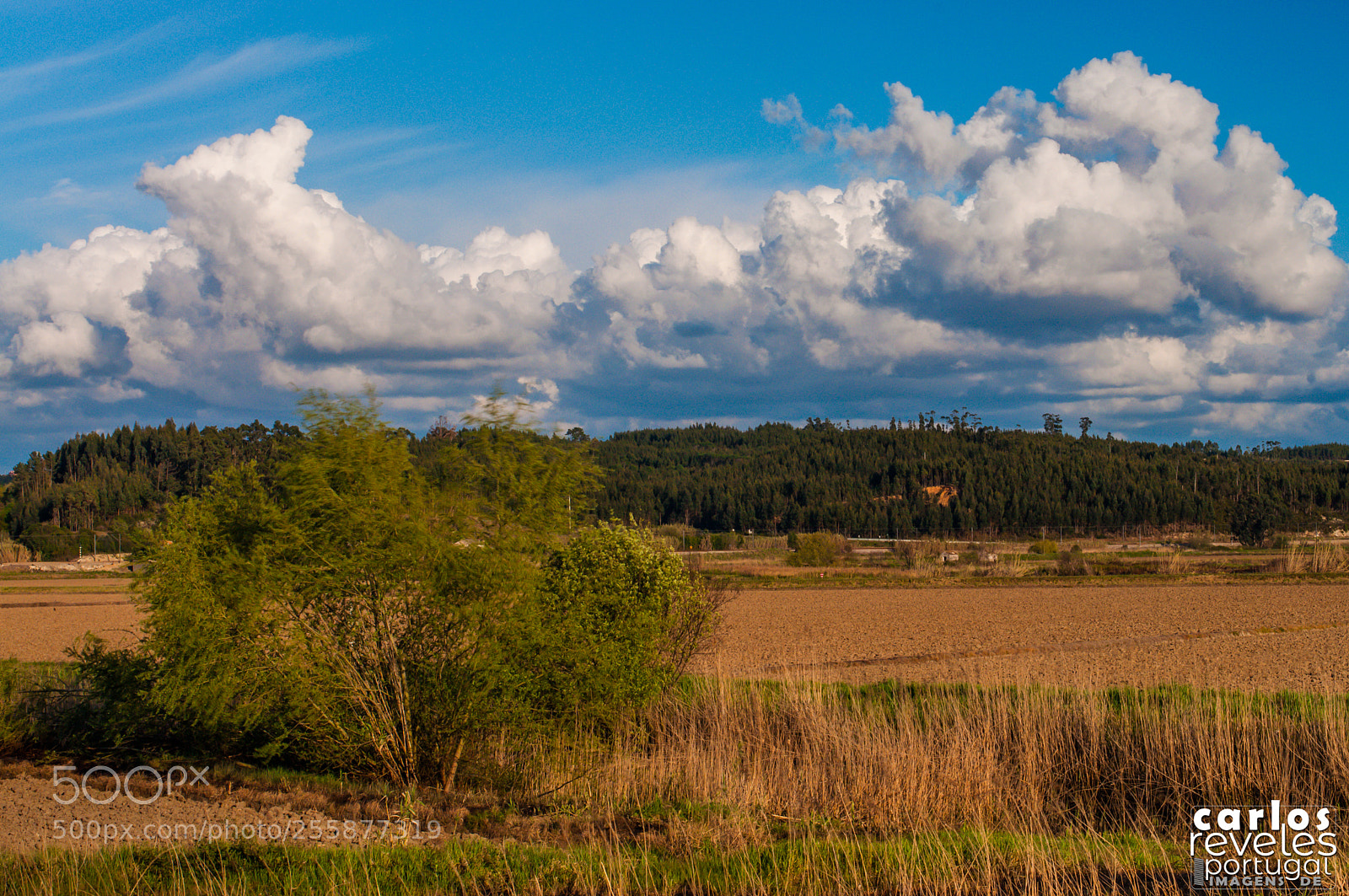 Nikon D5000 sample photo. Lavos, portugal photography