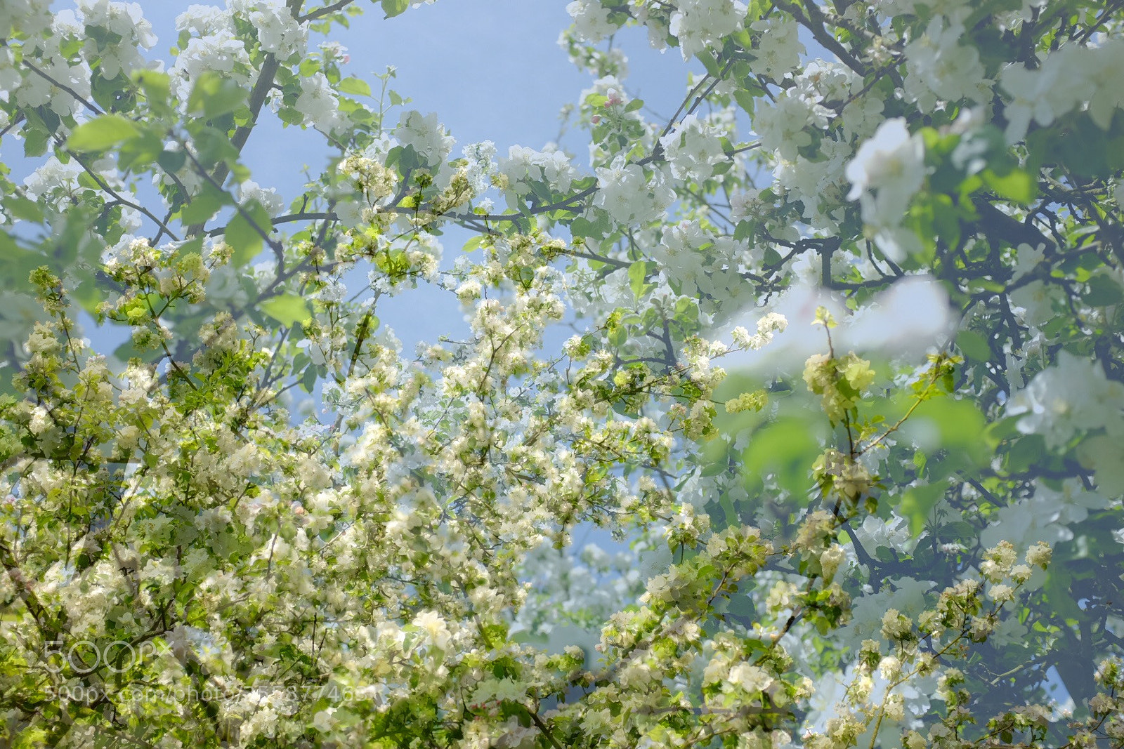Fujifilm X100T sample photo. Untitled photography