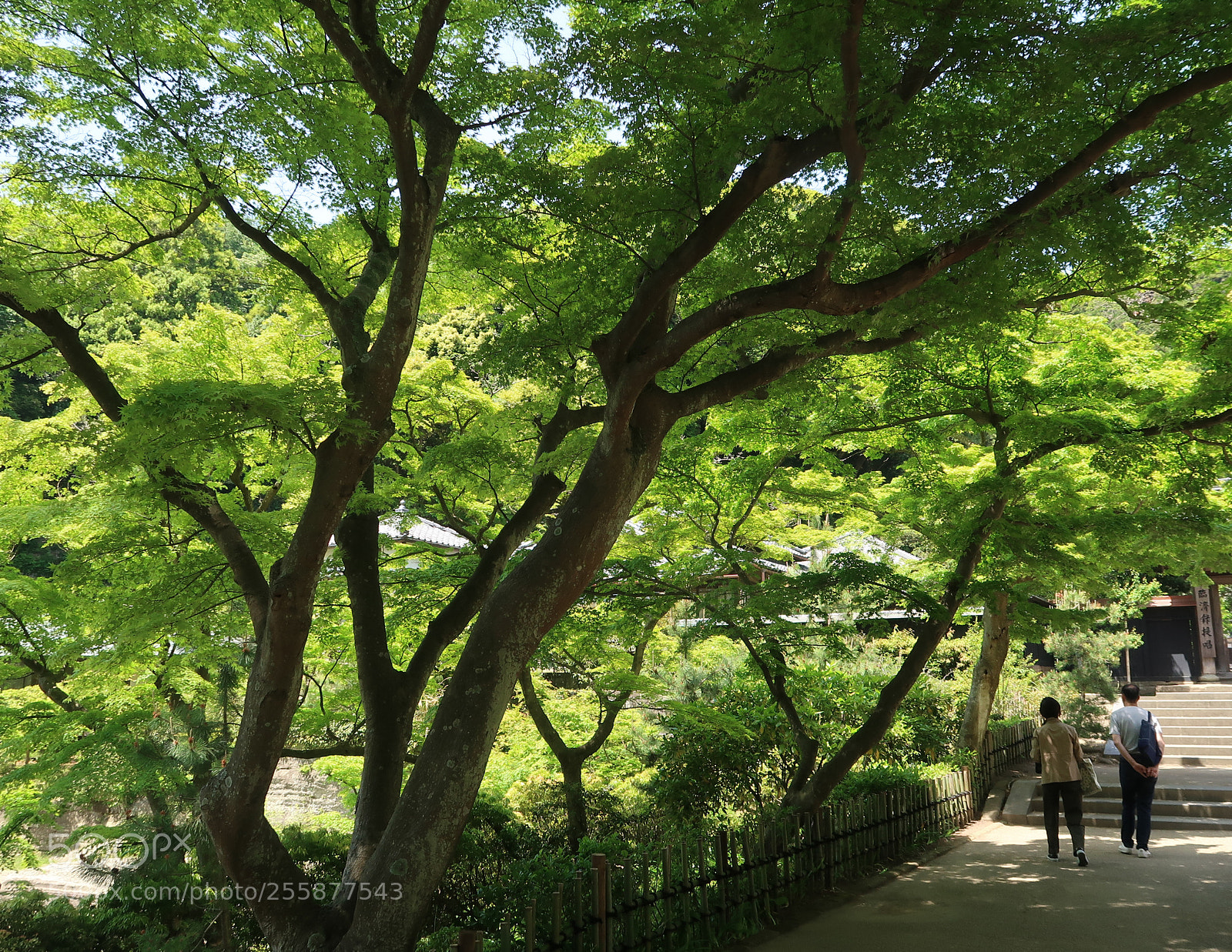 Canon PowerShot G7 X Mark II sample photo. Weekend scene in kamakura photography