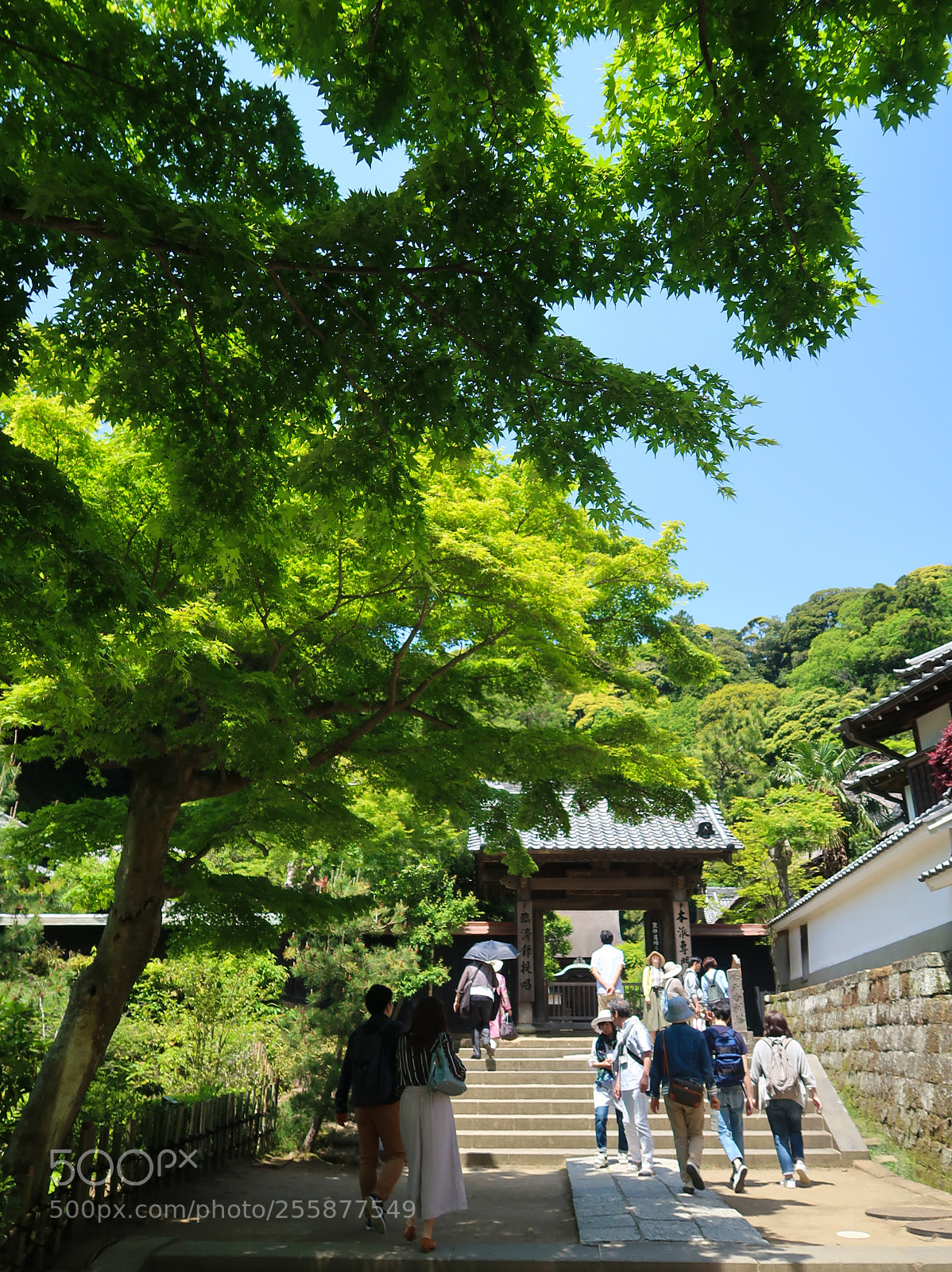 Canon PowerShot G7 X Mark II sample photo. Weekend scene in kamakura photography