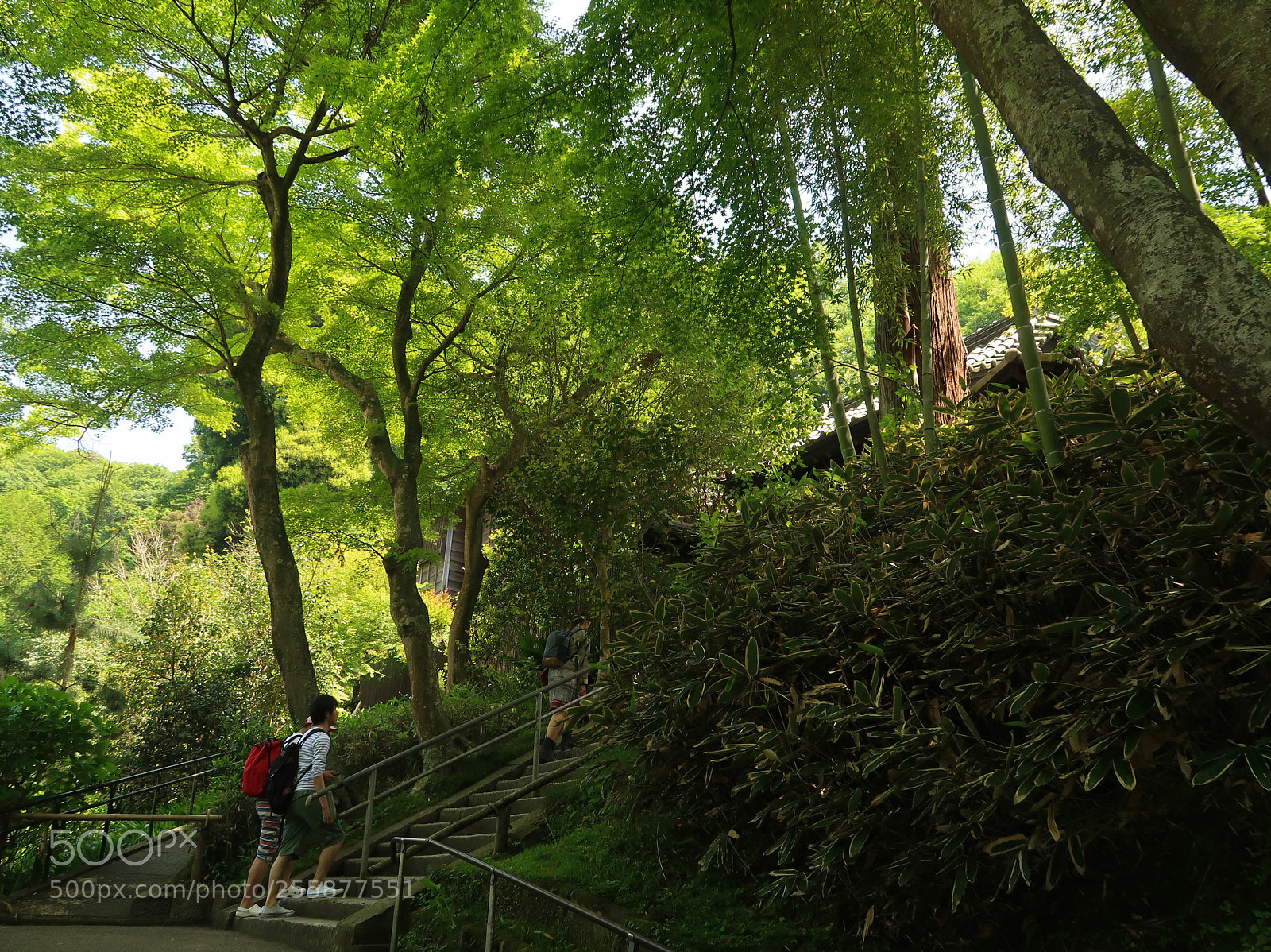 Canon PowerShot G7 X Mark II sample photo. Weekend scene in kamakura photography
