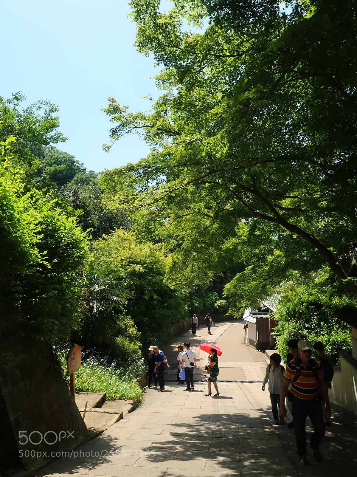 Canon PowerShot G7 X Mark II sample photo. Weekend scene in kamakura photography