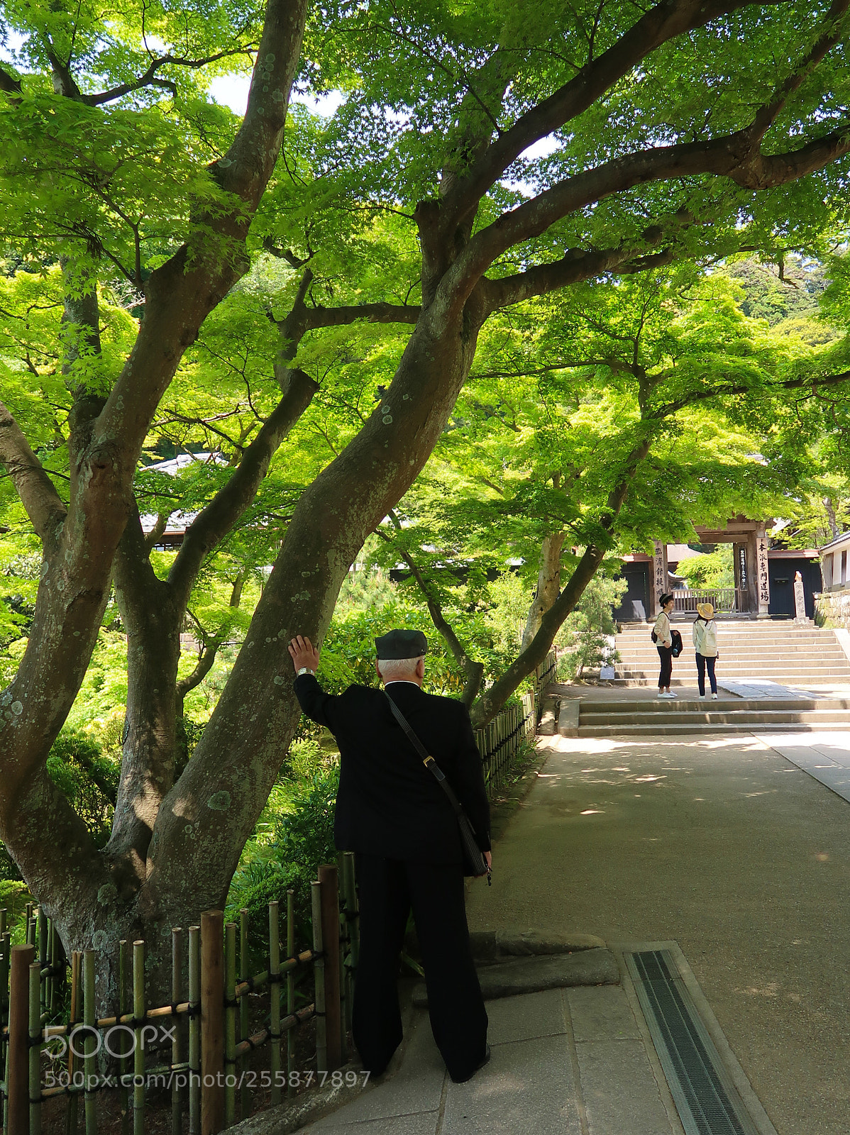 Canon PowerShot G7 X Mark II sample photo. Weekend scene in kamakura photography