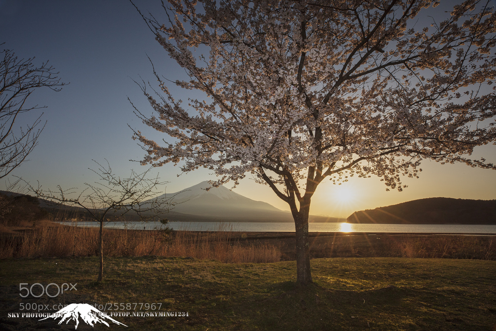 Canon EOS 5DS R sample photo. 山中湖 photography
