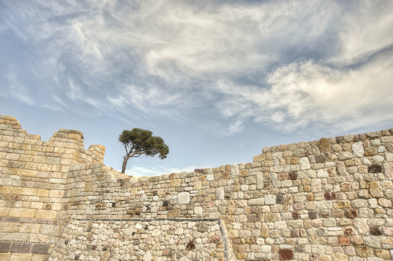 Nikon D700 sample photo. The wall photography