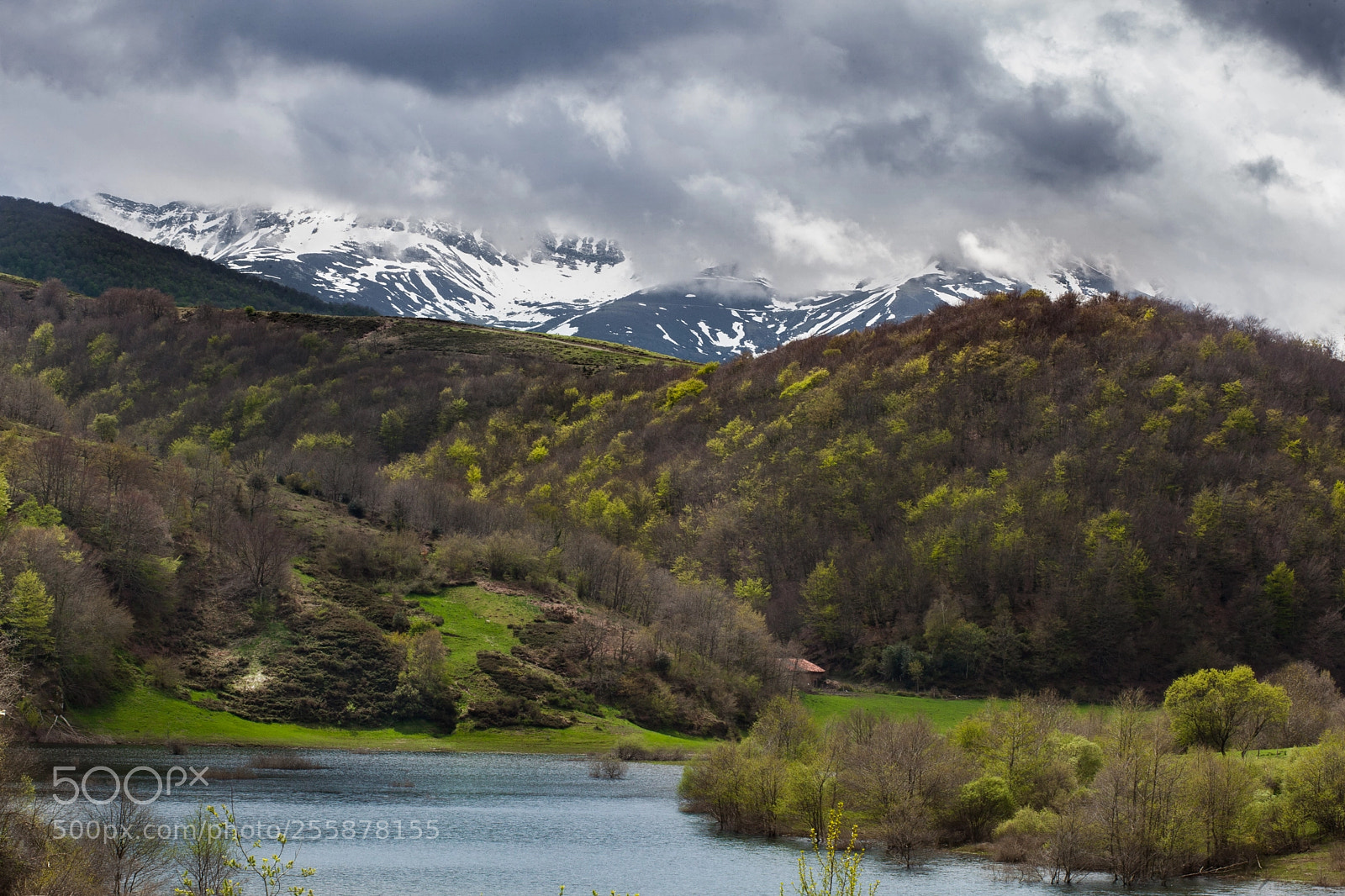 Canon EOS 5D Mark II sample photo. Cold spring photography
