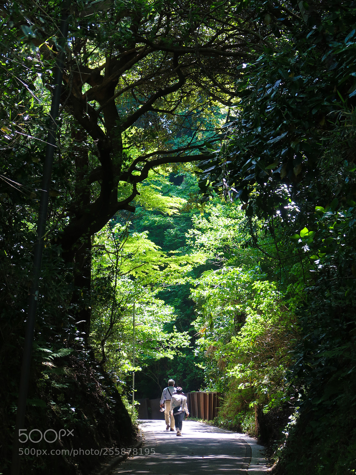 Canon PowerShot G7 X Mark II sample photo. Weekend scene in kamakura photography