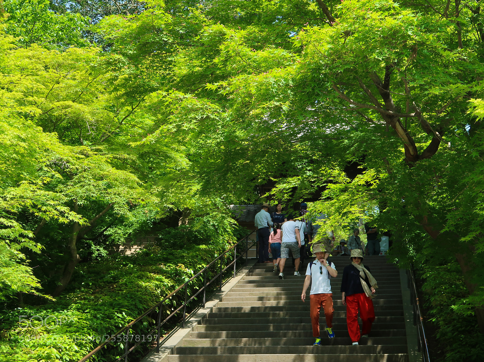 Canon PowerShot G7 X Mark II sample photo. Weekend scene in kamakura photography