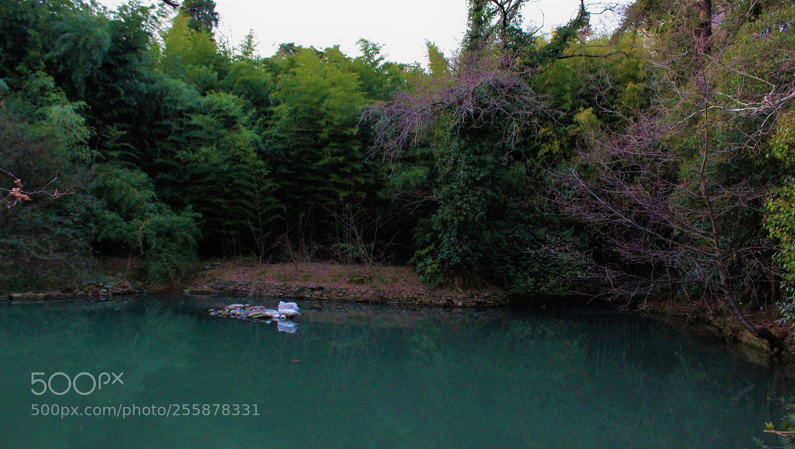 Canon EOS 1300D (EOS Rebel T6 / EOS Kiss X80) sample photo. Mysterious sochi, russia! photography