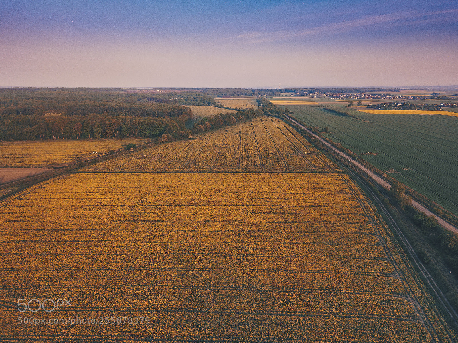 DJI FC220 sample photo. Good morning spring photography