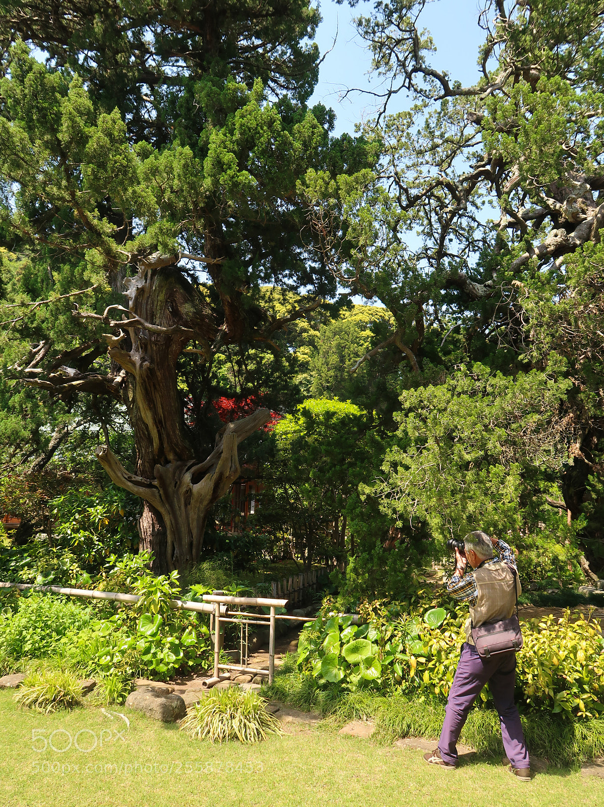 Canon PowerShot G7 X Mark II sample photo. Weekend scene in kamakura photography
