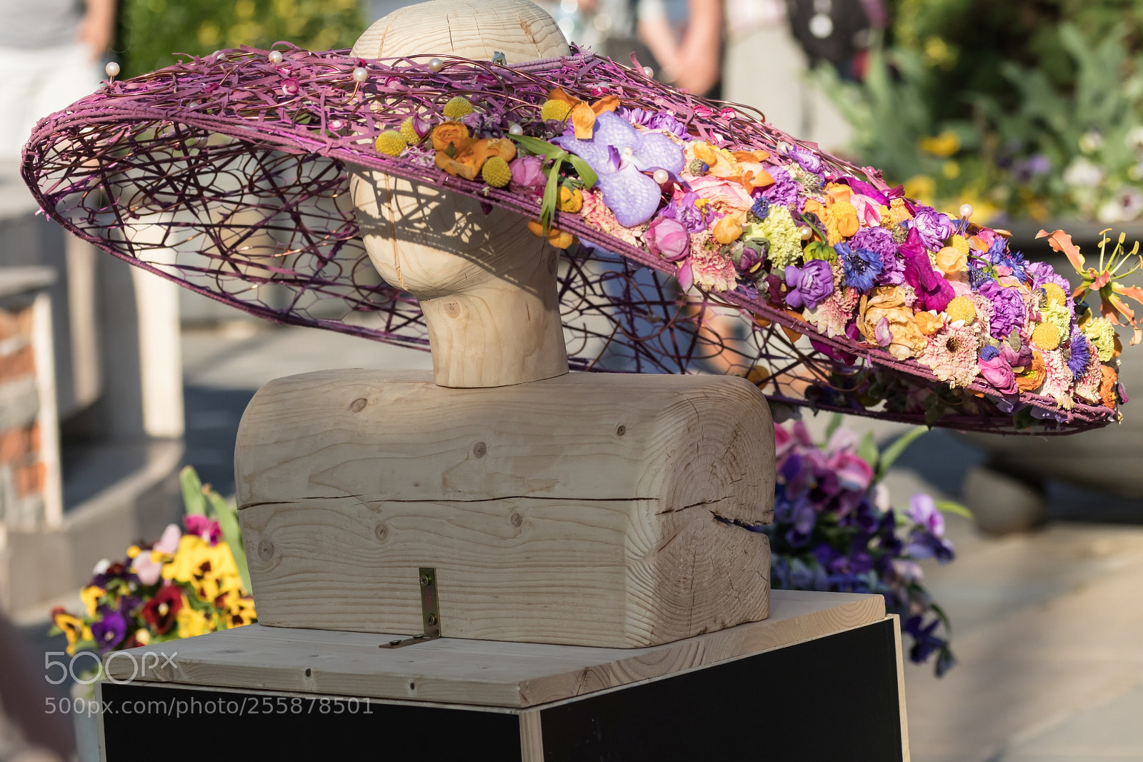 Canon EOS 77D (EOS 9000D / EOS 770D) sample photo. Flower hat - timfloralis 2018 photography