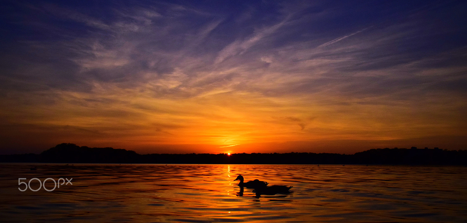 Sigma 18-250mm F3.5-6.3 DC Macro OS HSM sample photo. Sunset at the tegeler lake photography