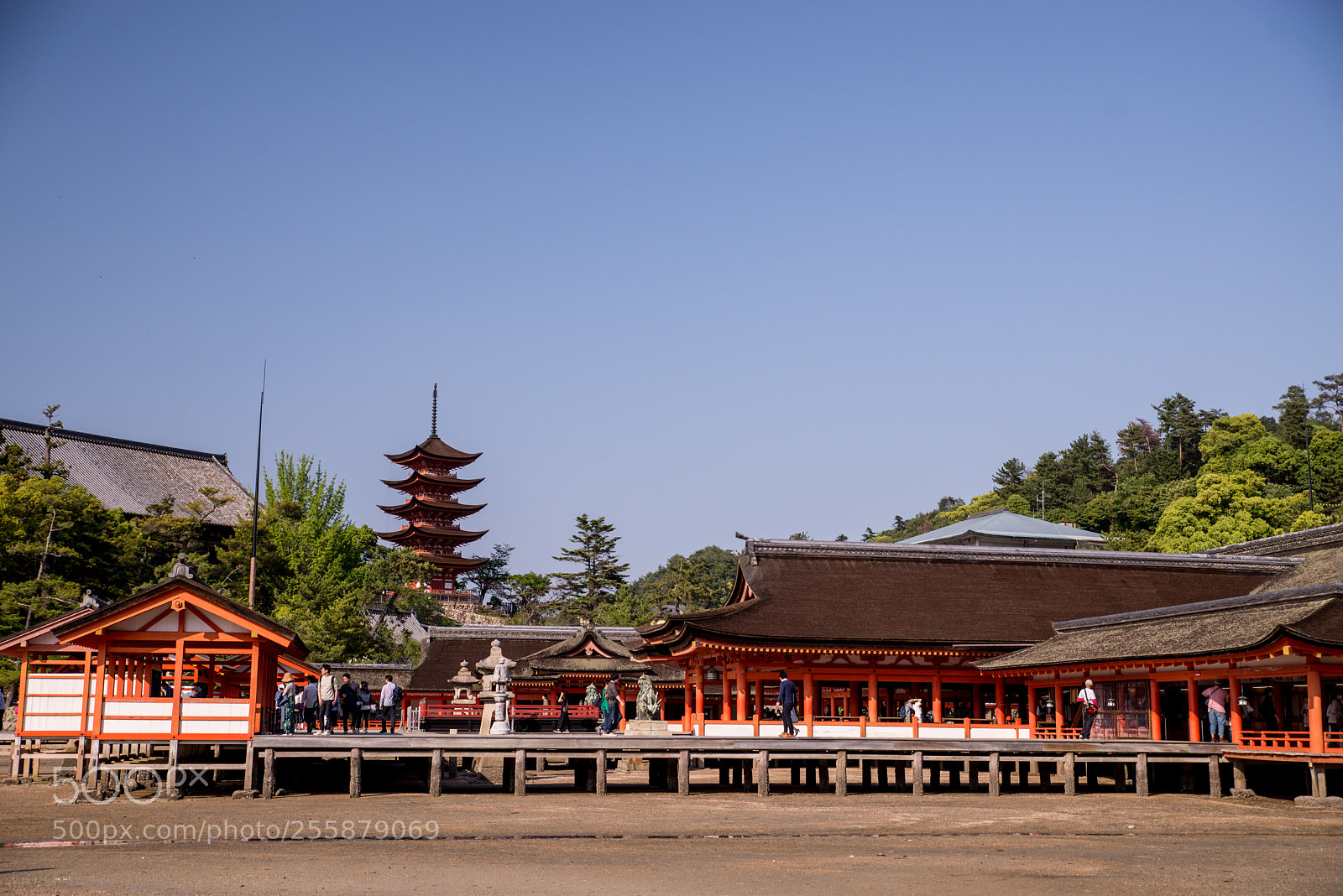Nikon D610 sample photo. 厳島神社&錦帯橋 photography