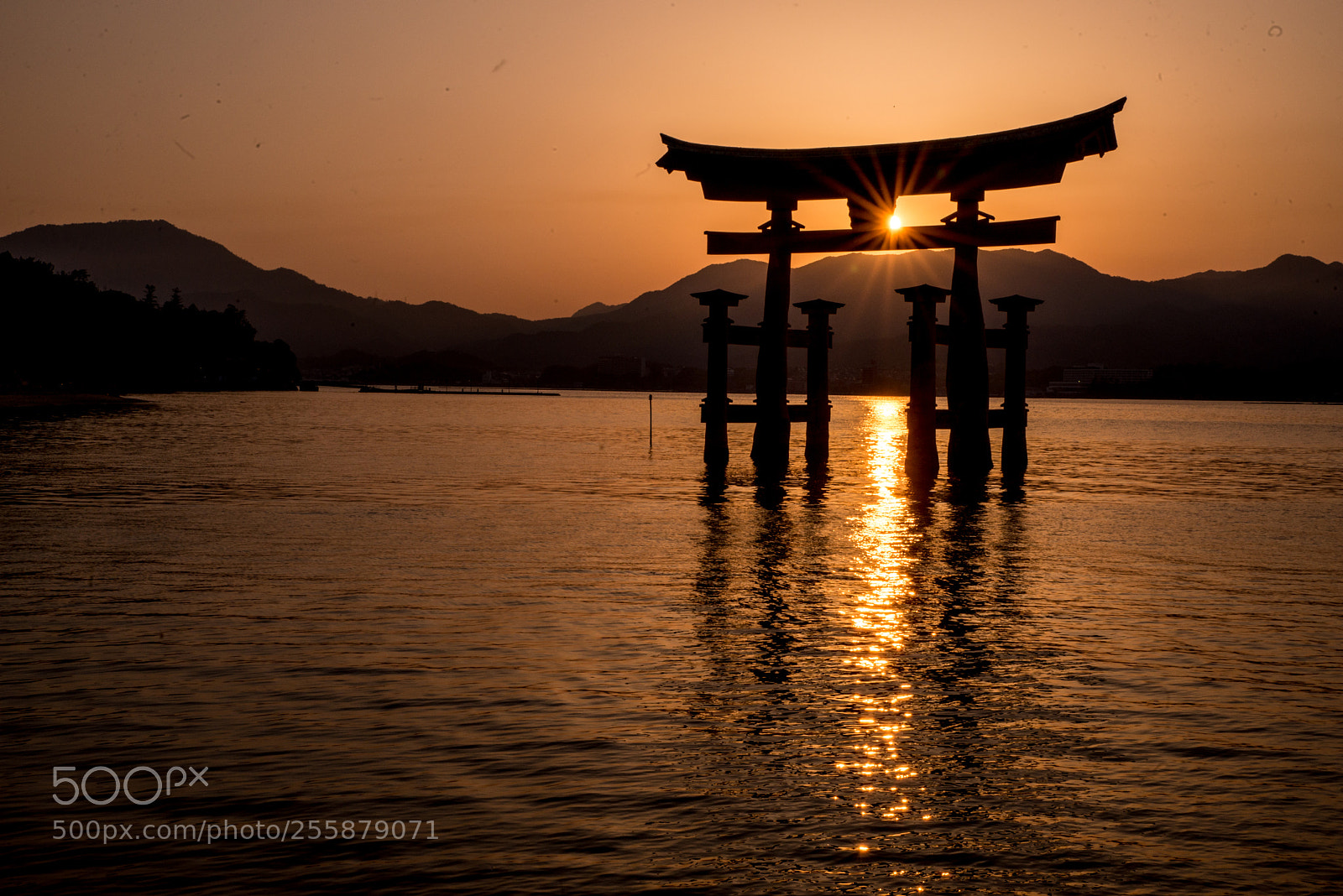 Nikon D610 sample photo. 厳島神社&錦帯橋 photography