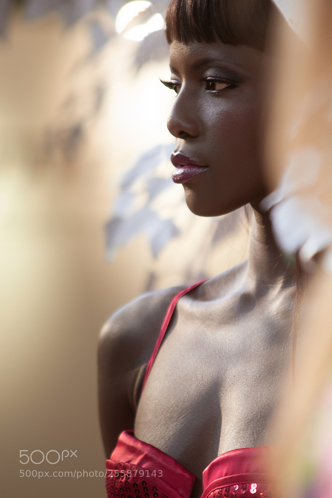 Nikon D300 sample photo. Face photography