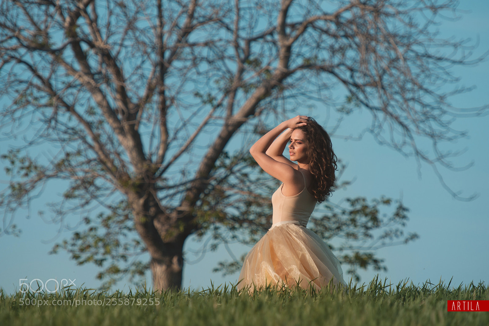 Nikon D4 sample photo. Blanca photography