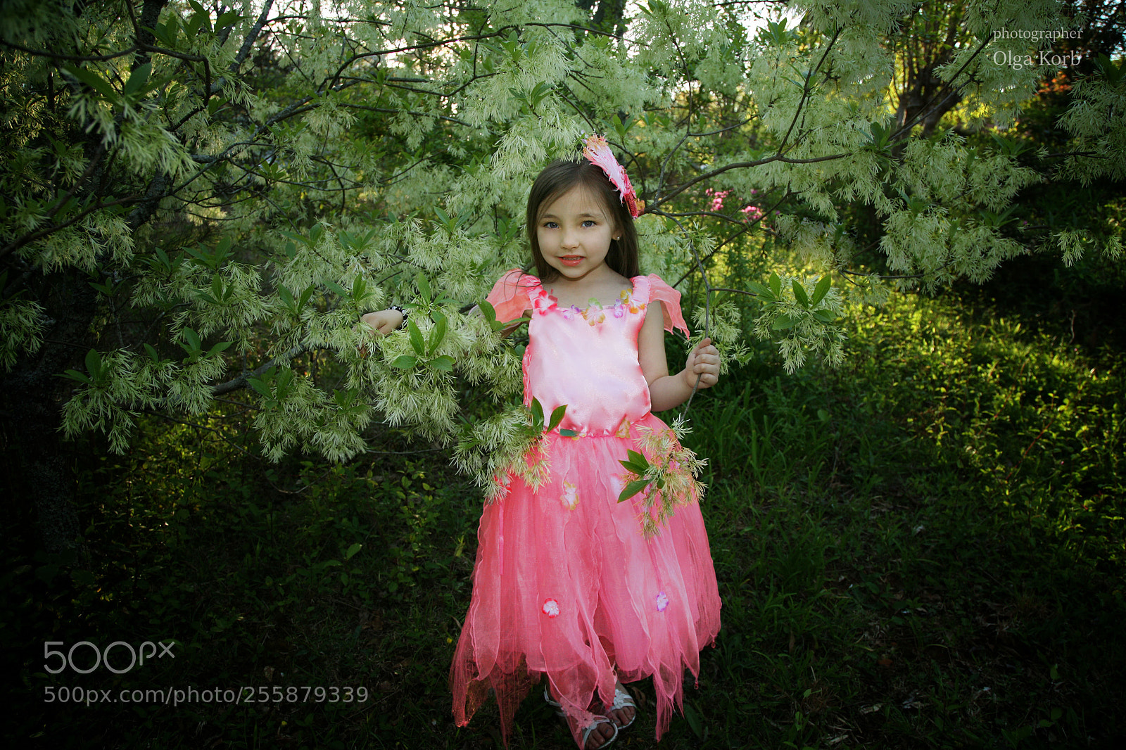Canon EOS 5D sample photo. Mikayla photography