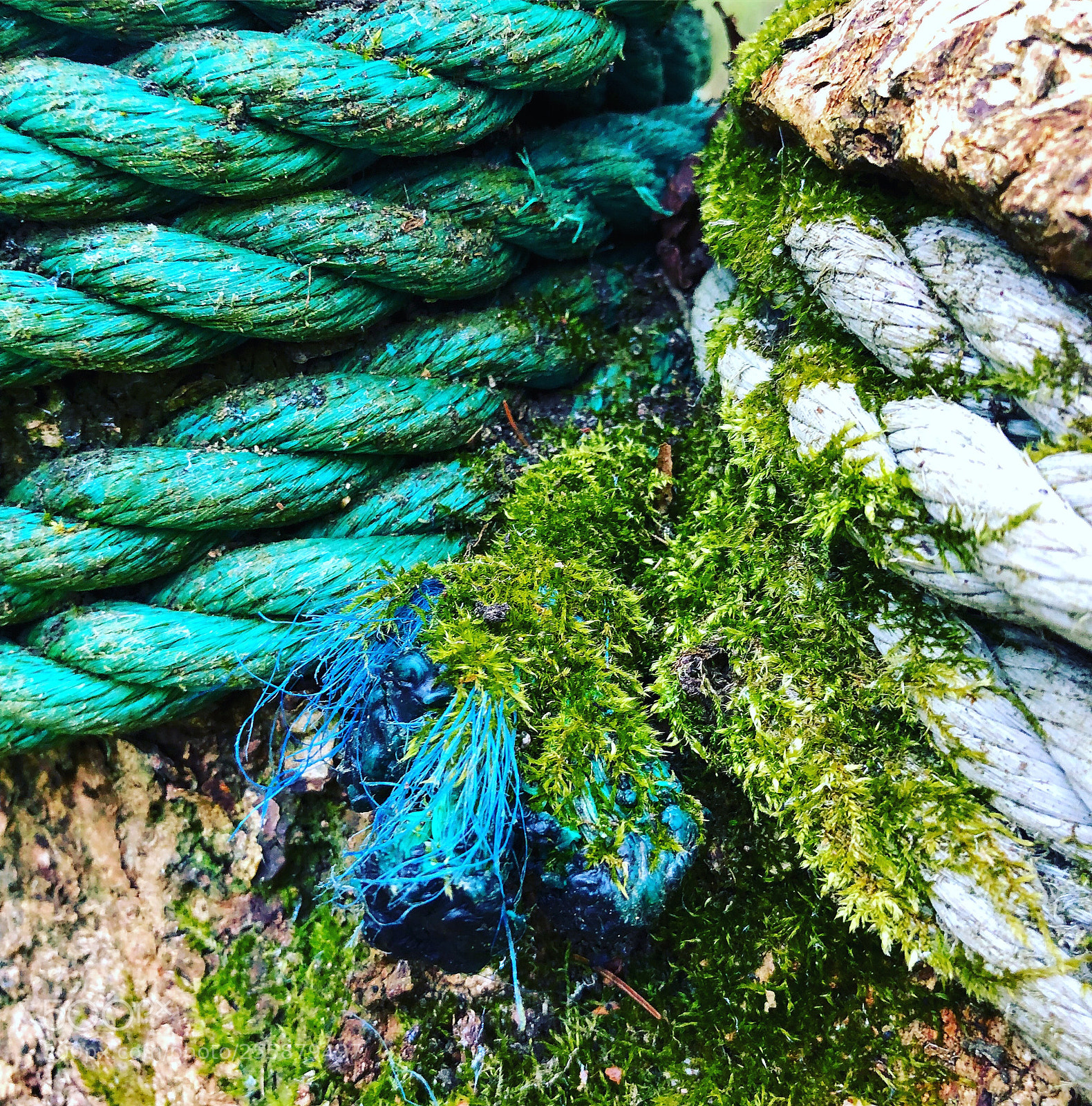 Apple iPhone 8 Plus sample photo. Ropes photography