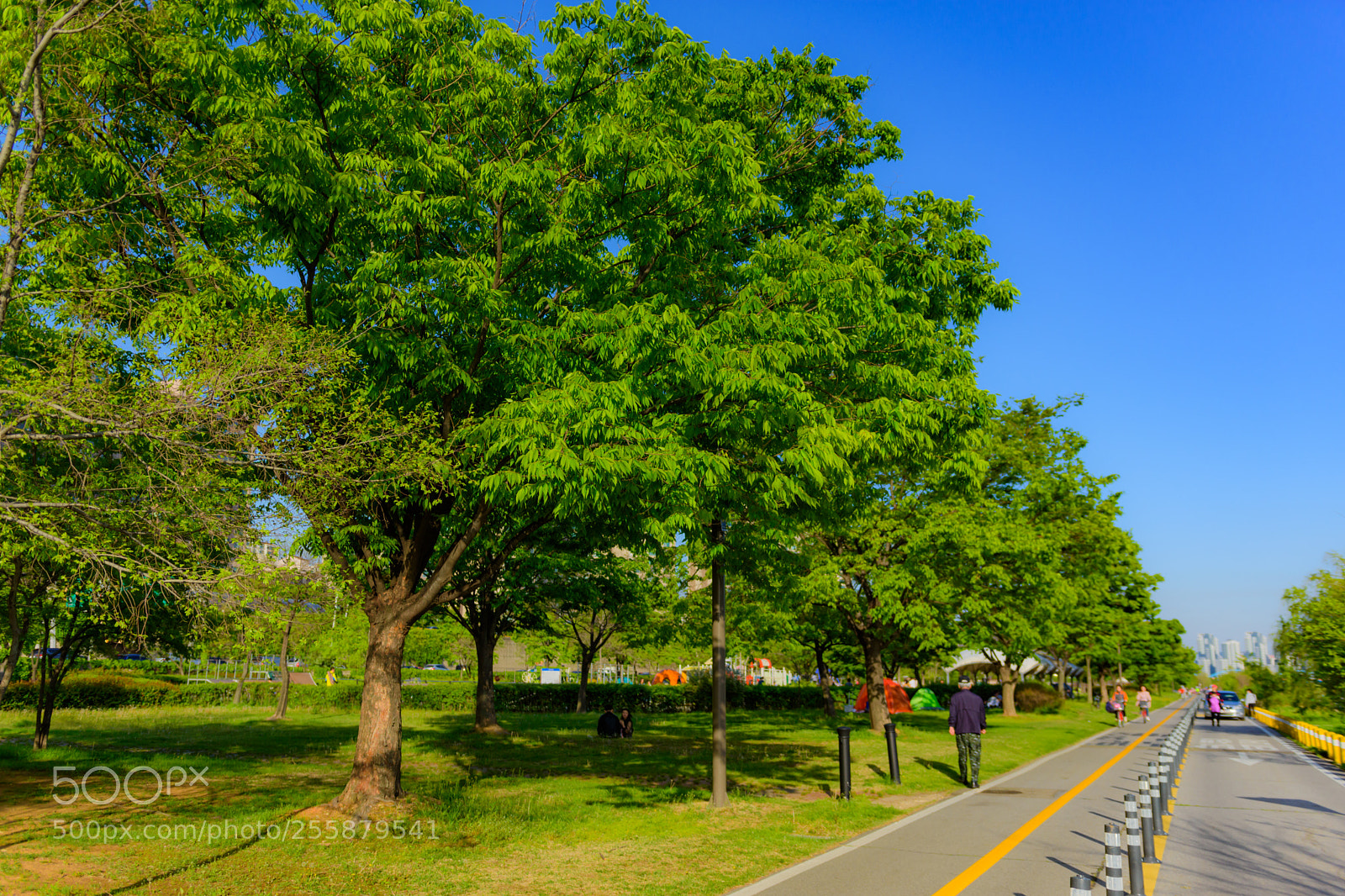 Nikon D7200 sample photo. D photography