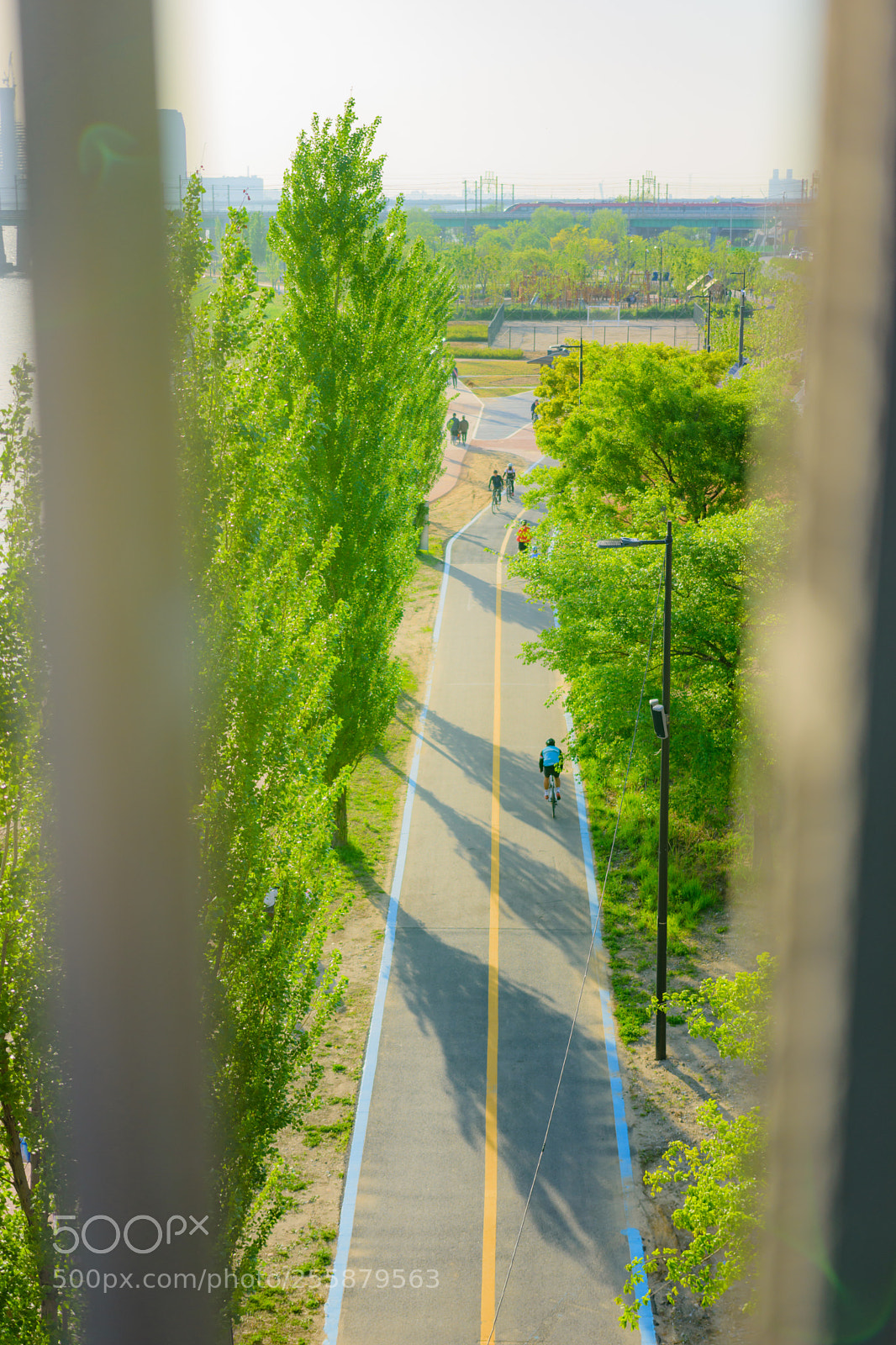Nikon D7200 sample photo. D photography