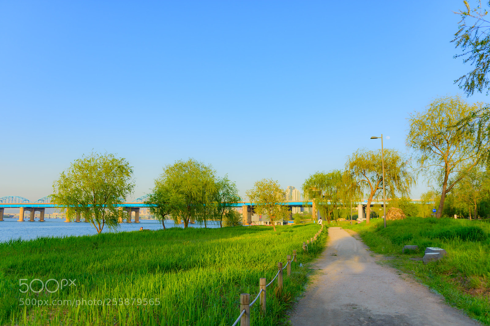 Nikon D7200 sample photo. D photography