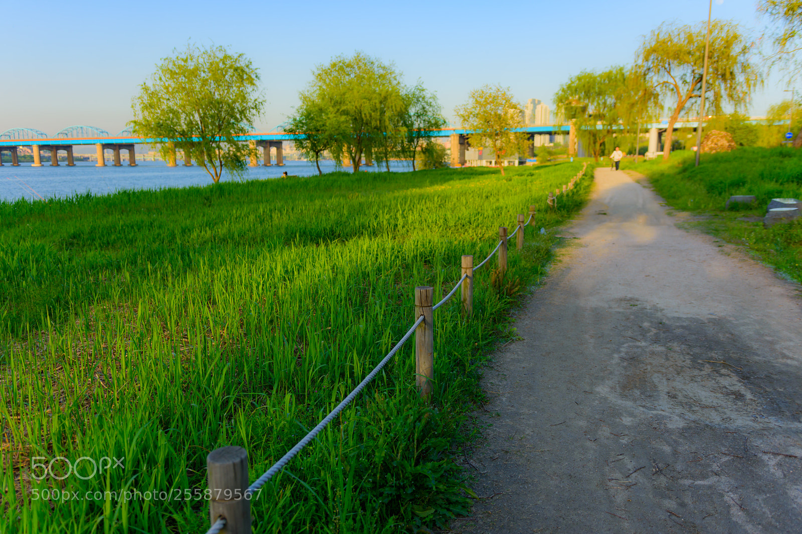 Nikon D7200 sample photo. D photography