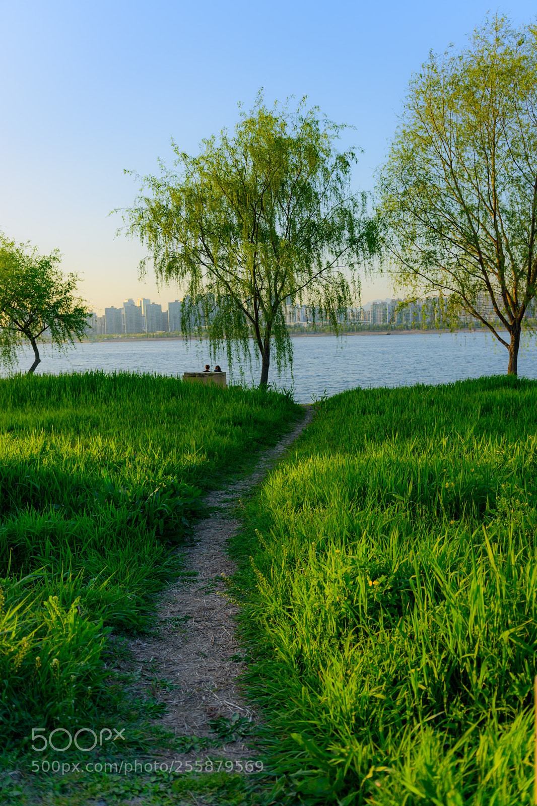 Nikon D7200 sample photo. D photography