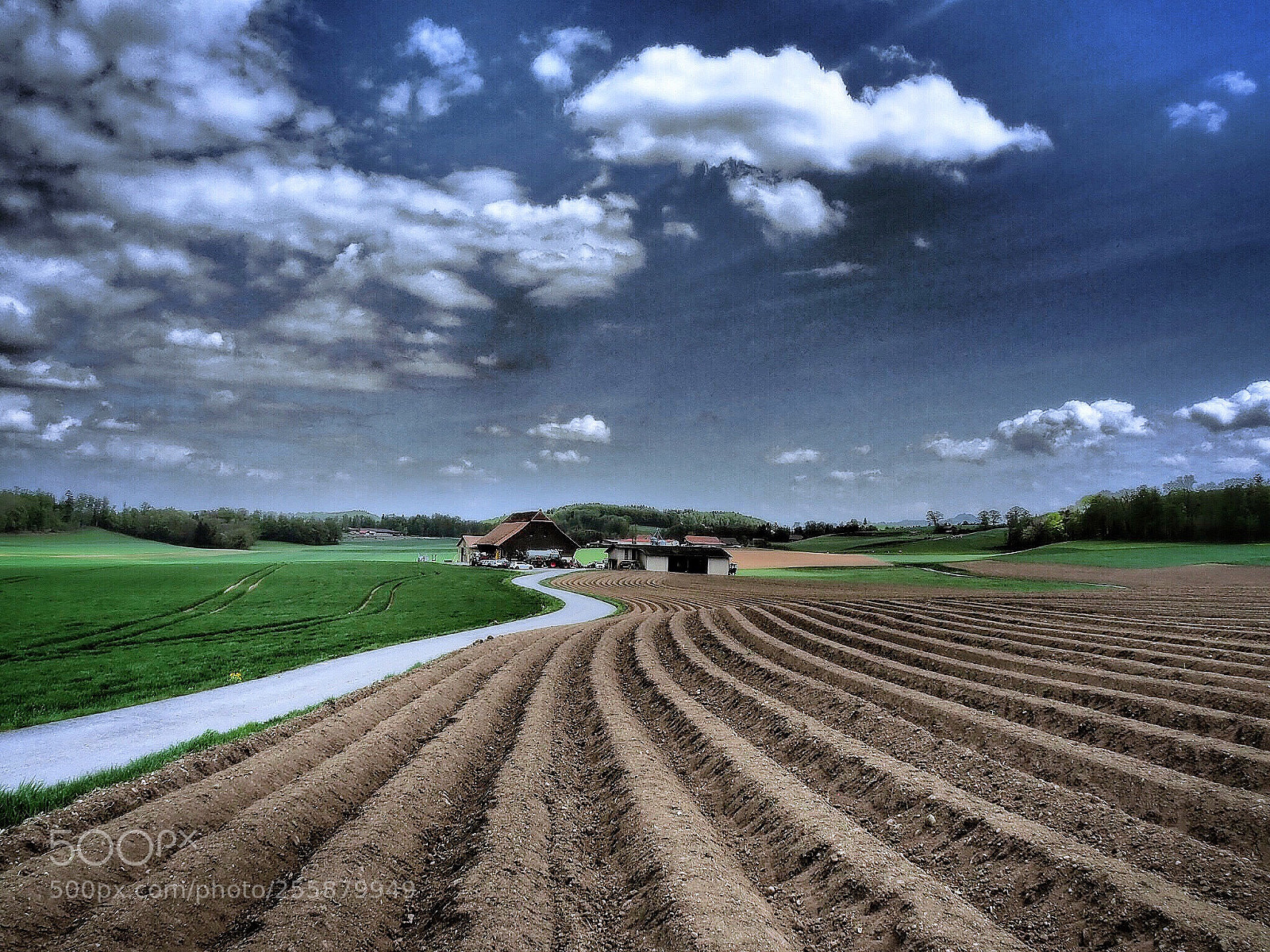 Olympus OM-D E-M5 II sample photo. Rural life photography