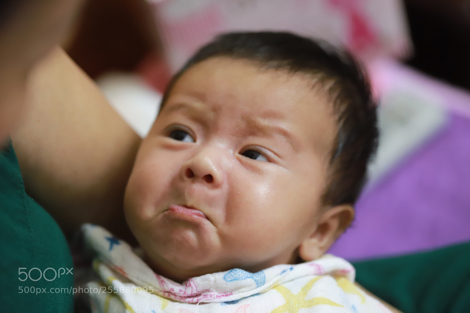 Canon EOS 6D Mark II sample photo. Untitled photography