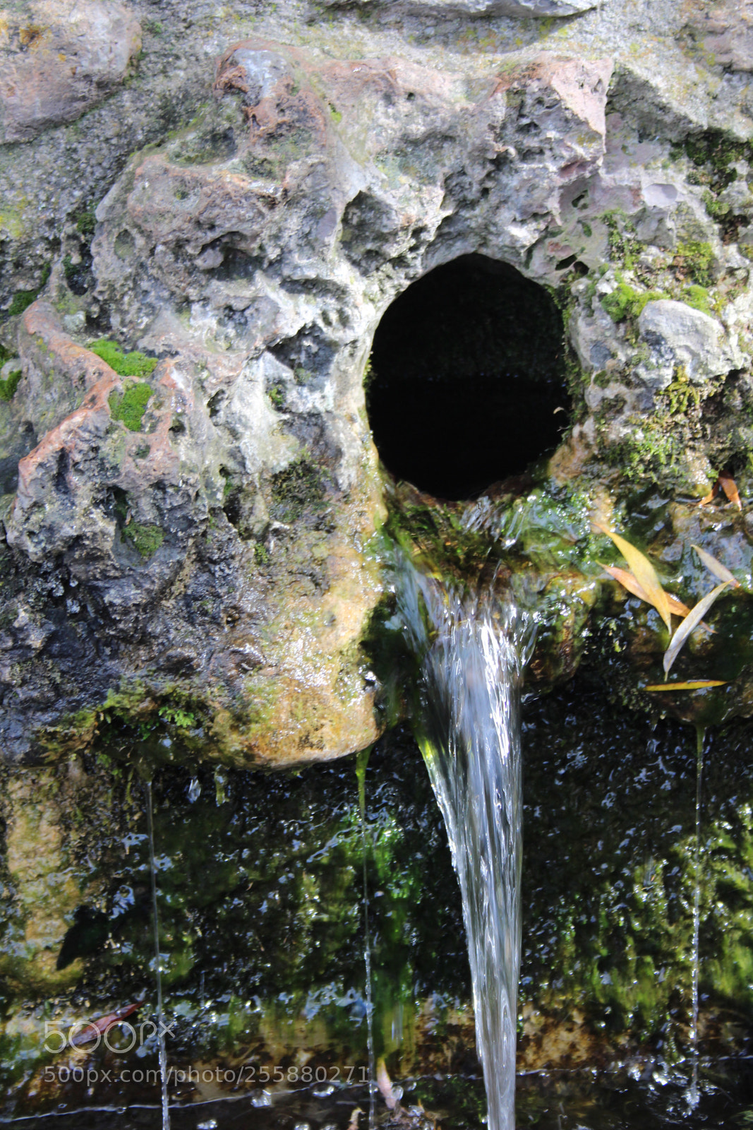 Canon EOS 650D (EOS Rebel T4i / EOS Kiss X6i) sample photo. Water & moss photography