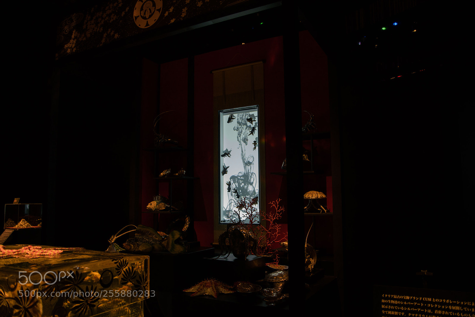 Sony a7R II sample photo. Fukuoka photography