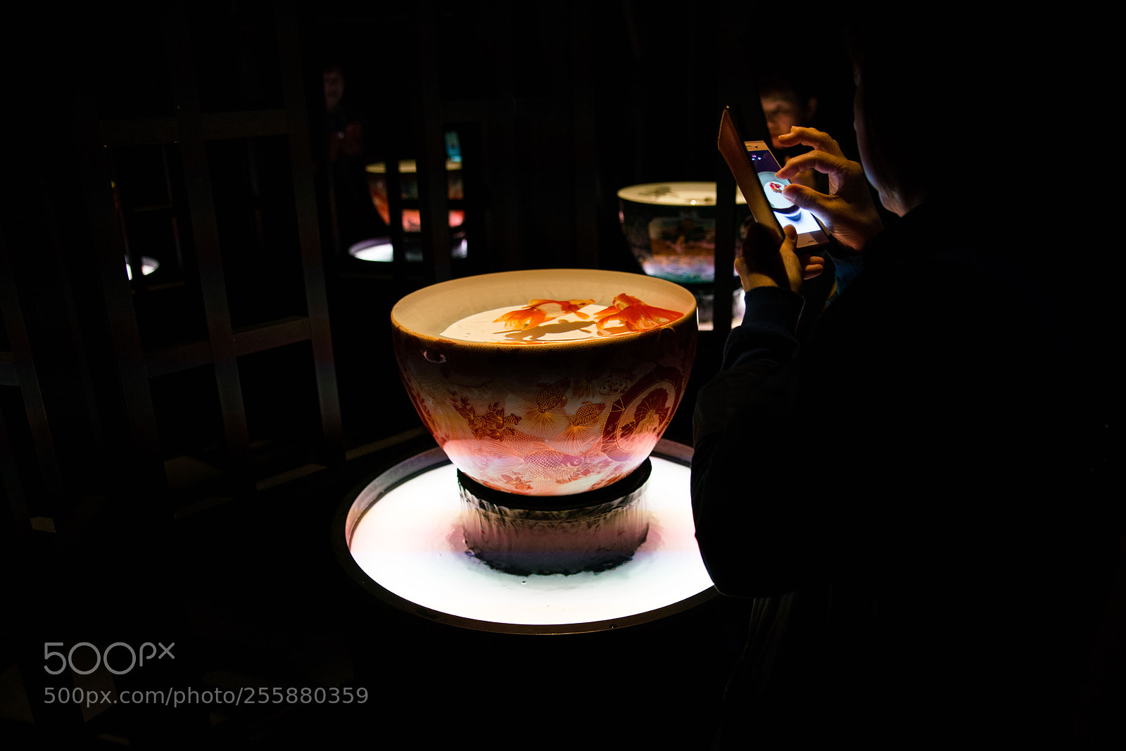 Sony a7R II sample photo. Fukuoka photography