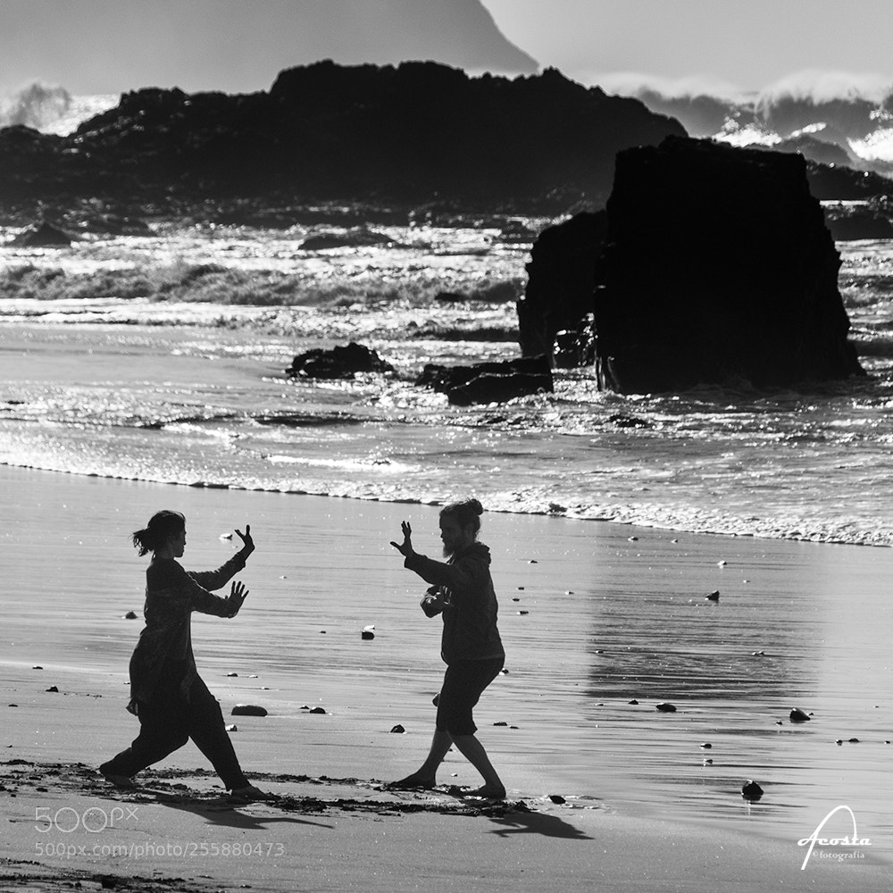 Nikon D300S sample photo. Tai chi lifestyle photography