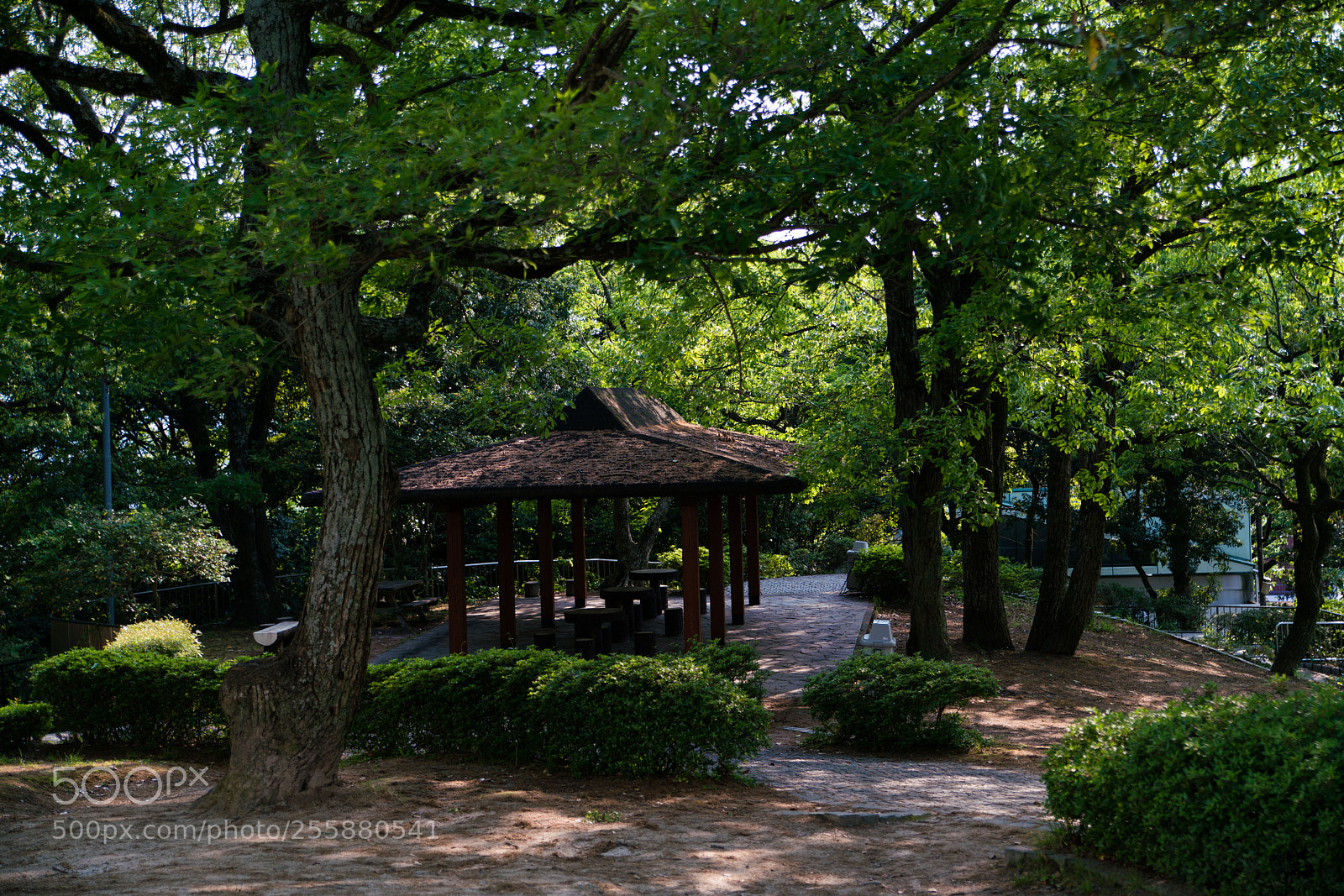 Sony a7R II sample photo. Fukuoka photography