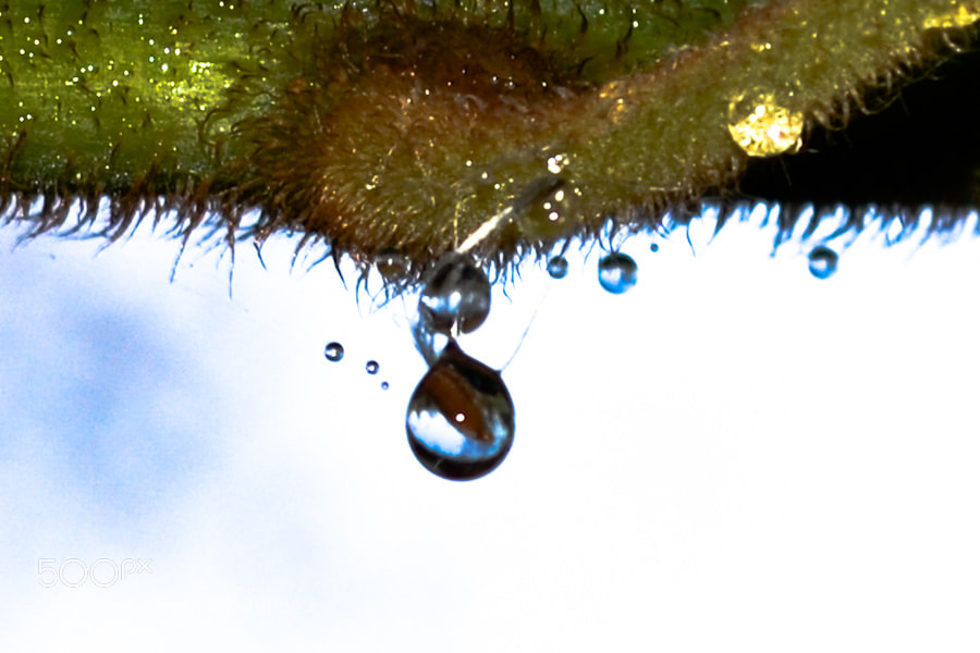 Nikon D3100 sample photo. I tempi ritornano, mentre photography