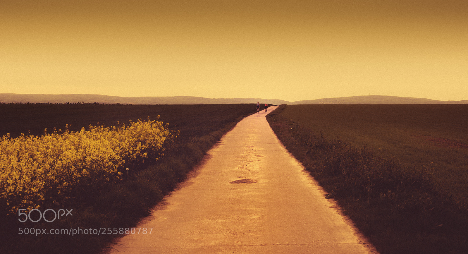 Canon EOS 6D sample photo. Yellow mood photography