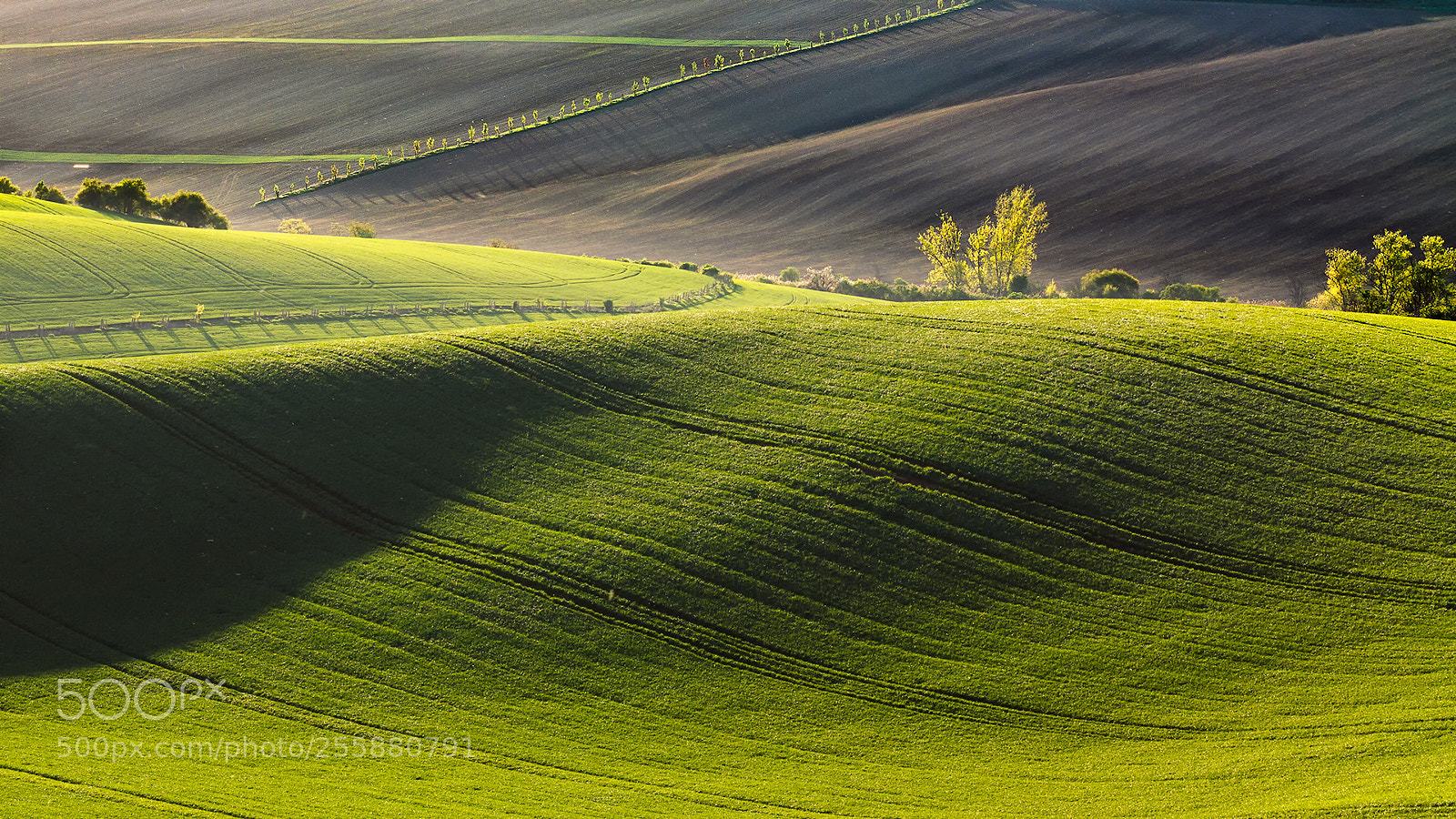 Canon EOS 50D sample photo. South moravia photography