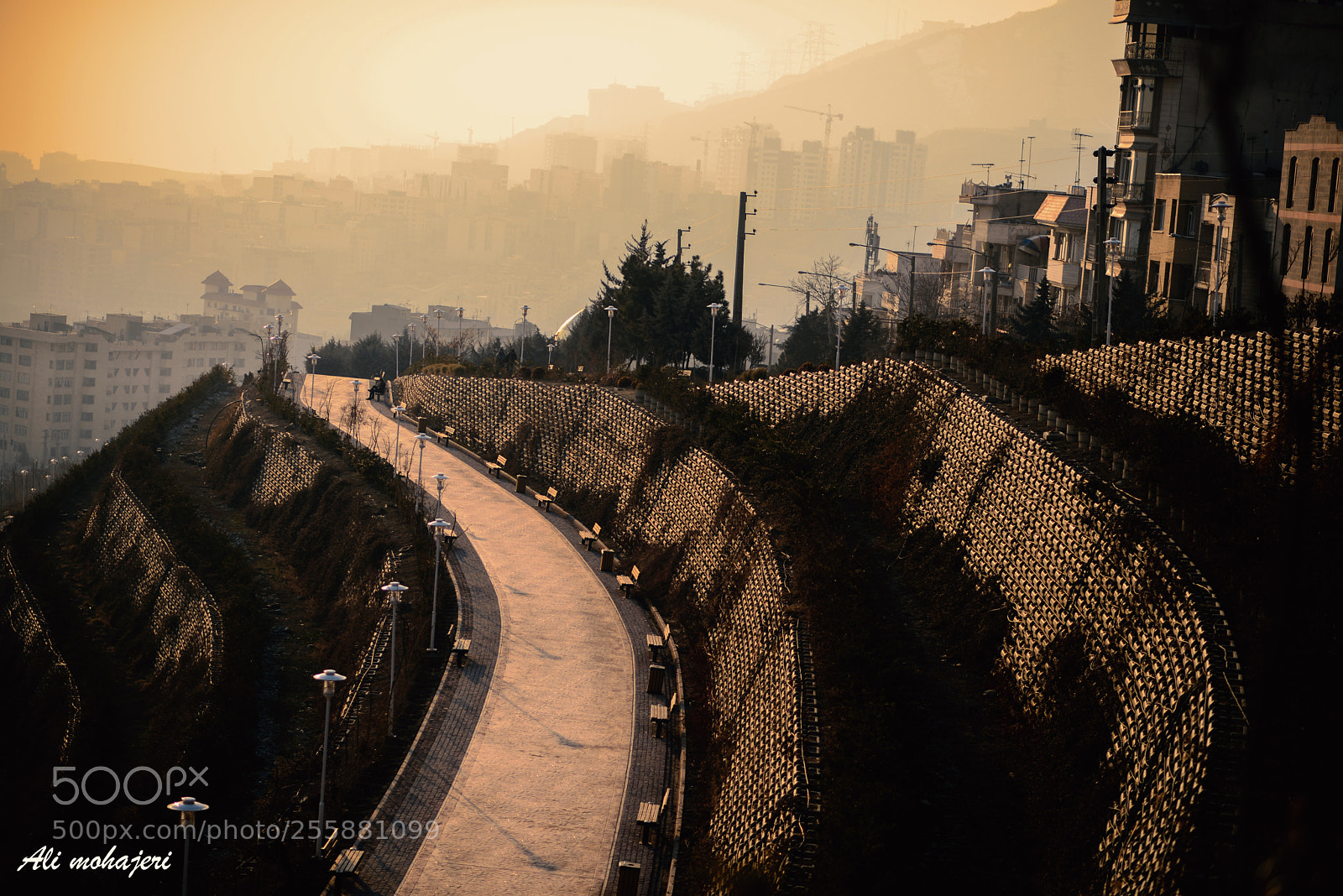 Nikon D610 sample photo. A photography