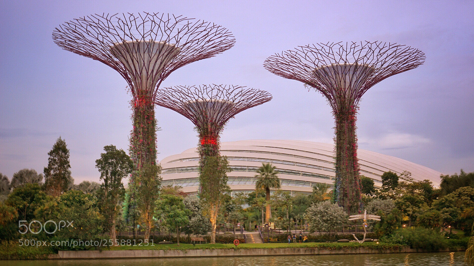 Sony a6000 sample photo. Gardens by the bay photography